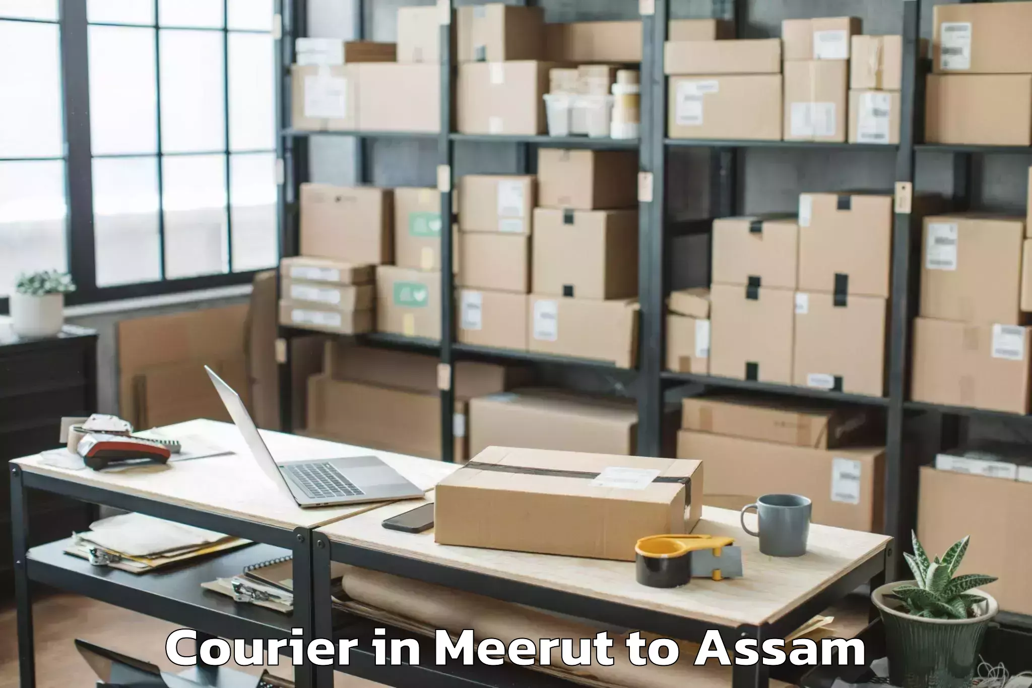 Book Your Meerut to Silchar Airport Ixs Courier Today